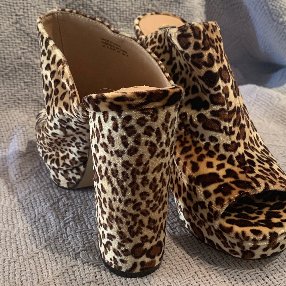 Shellys London - Picture 2 of 4